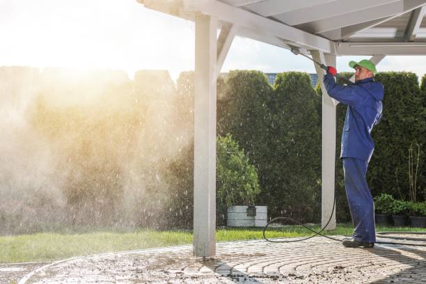 Animal Enclosure Cleaning in Jericho, NY